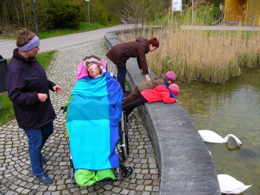 ...und die hofften auf etwas zu Fressen - leider hatten wir nichts dabei